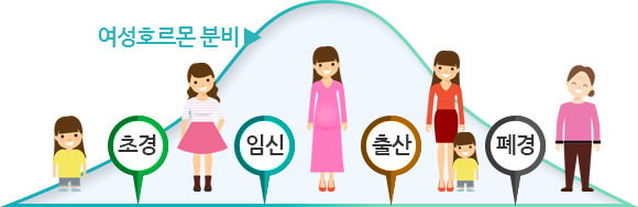 여성호르몬 분비 곡선 그래프