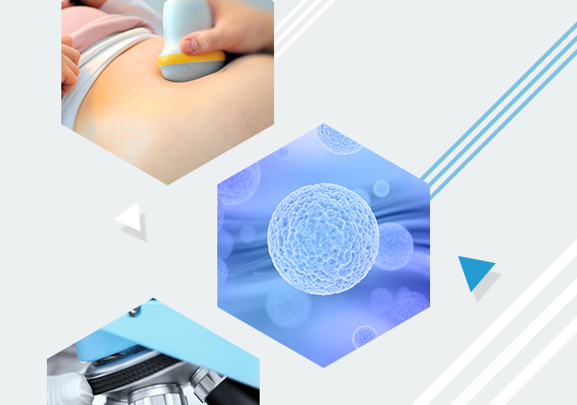 여성호르몬 분비 곡선 그래프